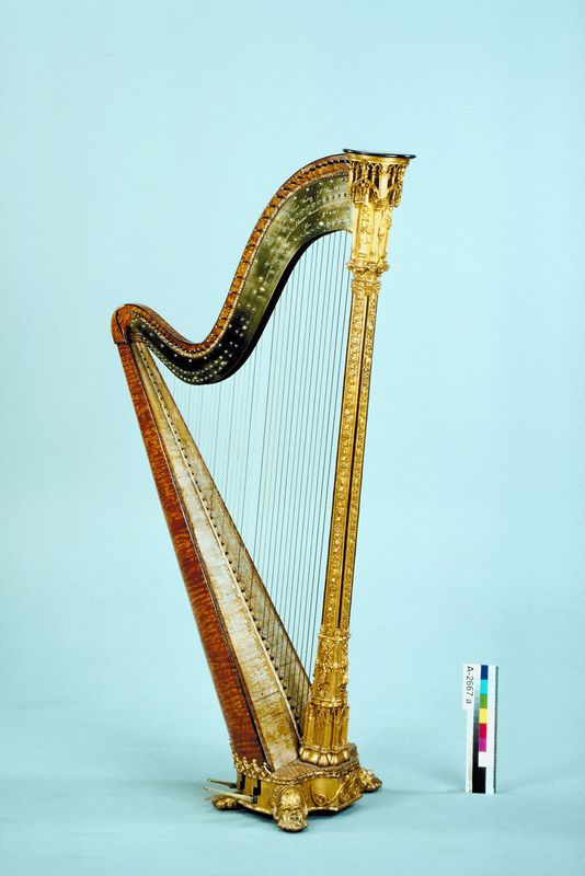 Idiom of the Week: Harp On - Modernenglish.net