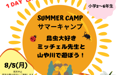 1 Day Summer Camp